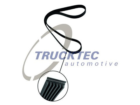 Curea transmisie cu caneluri (0219342 TRUCKTEC) CHEVROLET,DAIHATSU,FIAT,HONDA,MITSUBISHI,SMART,SUBARU,SUZUKI,TOYOTA