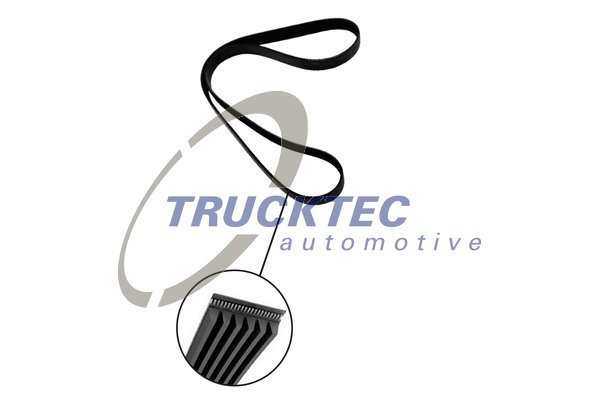 Curea transmisie cu caneluri (0719225 TRUCKTEC) AUDI,HYUNDAI,JEEP,KIA,MERCEDES-BENZ,PORSCHE,VW