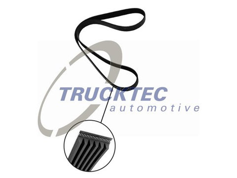 Curea transmisie cu caneluri (2219005 TRUCKTEC) LAND ROVER