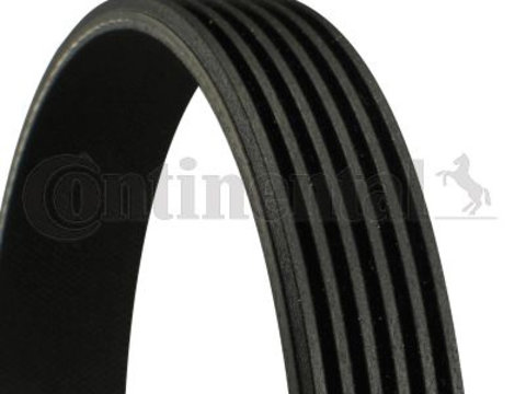 Curea transmisie cu caneluri 6PK906 CONTINENTAL CTAM pentru Vw Caddy Vw Panel Audi A3 Skoda Octavia Vw Derby Vw Flight Vw Polo Seat Inca Vw Golf Peugeot Grand Peugeot Partner Peugeot Ranch Peugeot 208 Vw Beetle Vw New Vw Novo Vw Bora Vw Jetta Seat To