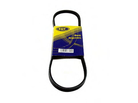 Curea transmisie cu caneluri 6R361 SCT GERMANY pentru Nissan March Nissan Micra Honda Prelude Fiat Ducato Honda Accord Peugeot Boxer Vw Touran Audi A3 Vw Golf Vw Rabbit Vw Caddy Seat Altea Skoda Laura Skoda Octavia Seat Toledo