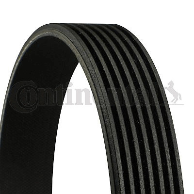 Curea transmisie cu caneluri 7PK1570 CONTITECH pentru Renault Megane Renault Gran Renault Kangoo Dacia Dokker Renault Clio Dacia Lodgy Dacia Sandero Dacia Logan Renault Captur Dacia Duster Nissan Qashqai Renault Kadjar Renault ScEnic Renault Grand Ni