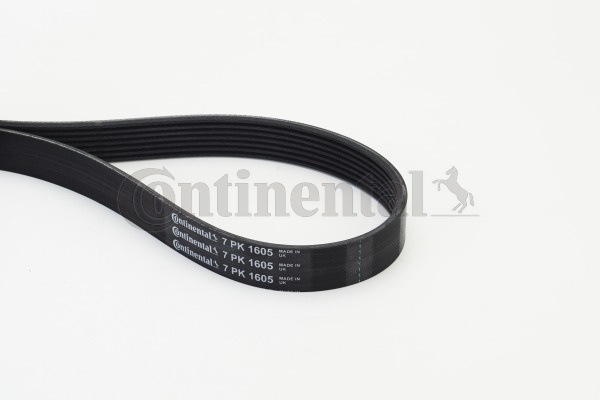 Curea transmisie cu caneluri (7PK1605 CONTINENTAL CTAM) BMW,DACIA,LAND ROVER,MAZDA,NISSAN,RENAULT 5|7|8|CABSTAR, CABSTAR E|CAPTUR|CLIO|CLIO, CLIO MIO, LUTECIA|DISCOVERY|DOKKER|DOKKER Express|DUSTER|EU