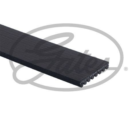 Curea transmisie cu caneluri 8PK1392HD GATES pentru Bmw Seria 6 Bmw Seria 5 Bmw X3 Mercedes-benz Vario Bmw Seria 7 Bmw Seria 4 Bmw Seria 2 Bmw X5 Bmw X4 Bmw X6