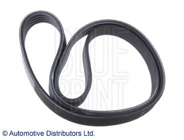 Curea transmisie cu caneluri AD05R1637 BLUE PRINT pentru Kia Rio Kia Cerato Kia Spectra5 Kia Spectra Kia Picanto Hyundai Accent Hyundai Verna Hyundai Click Hyundai Getz Hyundai Tb Kia Cee d Hyundai I30 Hyundai I10