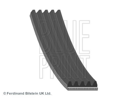 Curea transmisie cu caneluri (AD05R906 BLP) HYUNDAI,KIA,MITSUBISHI