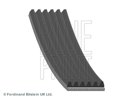 Curea transmisie cu caneluri (AD06R1030 BLP) AUDI,Citroen,CUPRA,LEXUS,MAN,MINI,NEOPLAN,NISSAN,PEUGEOT,SEAT,SKODA,TOYOTA,VW