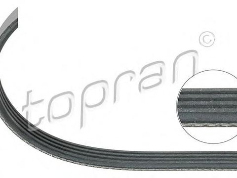 Curea transmisie cu caneluri AUDI 90 (8C, B4), AUDI 80 Avant (8C, B4), AUDI 100 limuzina (4A, C4) - TOPRAN 109 660