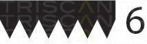 Curea transmisie cu caneluri AUDI 90 (8C, B4), AUDI 80 Avant (8C, B4), Citroen ZX (N2) - TRISCAN 8640 601173