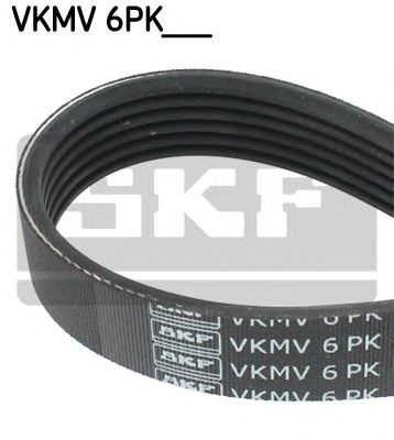 Curea transmisie cu caneluri AUDI A1 (8X1, 8XF) - 
