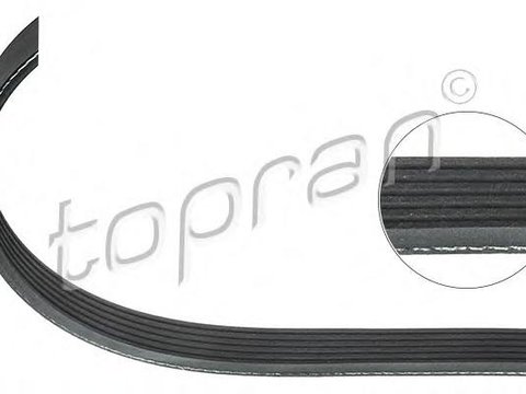 Curea transmisie cu caneluri AUDI A3 (8P1), VW RABBIT V (1K1), SEAT ALTEA (5P1) - TOPRAN 113 202