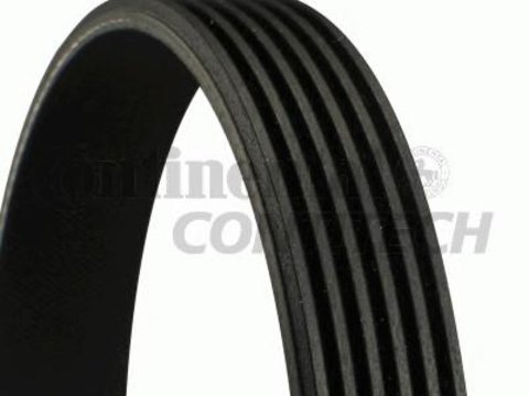 Curea transmisie cu caneluri AUDI A4 limuzina (8D2, B5), ALFA ROMEO 145 (930), ALFA ROMEO 146 (930) - CONTITECH 6PK1856