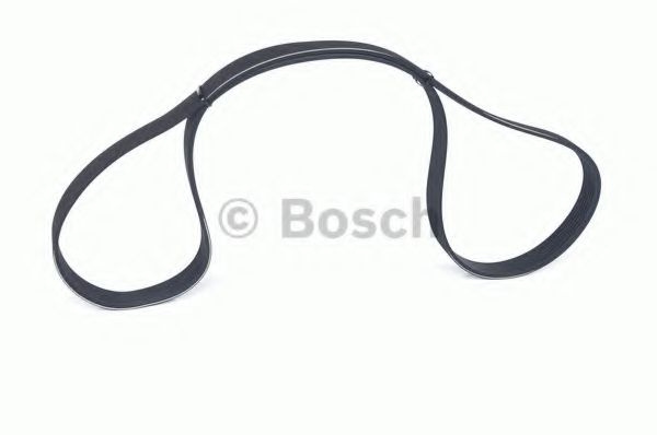 Curea transmisie cu caneluri AUDI Q5 (8R) (2008 - 2016) BOSCH 1 987 946 251