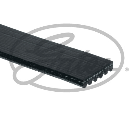 Curea transmisie cu caneluri # Audi Q8 2018 2019 2020 2021 2022 2023 2024 2025 # 6PK923EST # GATES