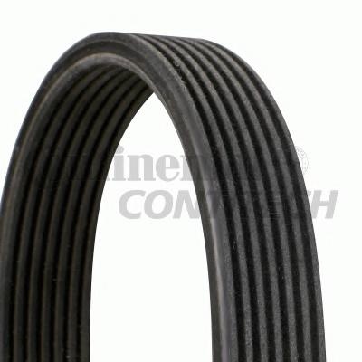Curea transmisie cu caneluri BMW 5 (F10, F18), BMW
