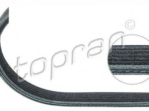 Curea transmisie cu caneluri BMW 5 limuzina (E60), BMW 5 Touring (E61), BMW X3 (E83) - TOPRAN 501 683