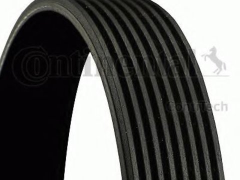 Curea transmisie cu caneluri BMW Seria 5 (F10, F18) (2009 - 2016) CONTITECH 8PK1786 piesa NOUA