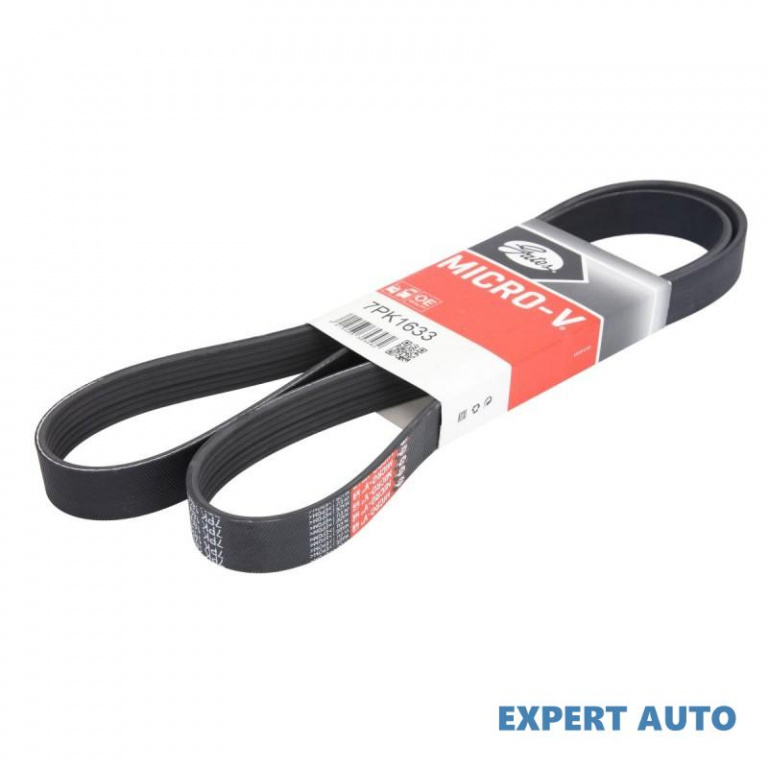 Curea transmisie cu caneluri BMW X5 (E53) 2000-2006 #2 11281432724