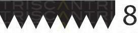 Curea transmisie cu caneluri CHRYSLER VOYAGER Mk II (GS), JEEP WAGONEER (XJ), JEEP GRAND CHEROKEE (ZJ) - TRISCAN 8640 802275