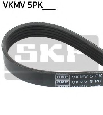 Curea transmisie cu caneluri CITROËN SAXO (S0, S1) (1996 - 2004) SKF VKMV 5PK1050