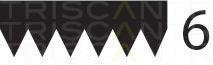 Curea transmisie cu caneluri Citroen XANTIA (X1), FORD ESCORT Mk V (GAL), FORD ESCORT Mk V combi (GAL, AVL) - TRISCAN 8640 601650