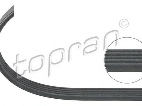 Curea transmisie cu caneluri Citroen ZX (N2), PEUGEOT 306 hatchback (7A, 7C, N3, N5), PEUGEOT 306 Cabriolet (7D, N3, N5) - TOPRAN 206 715