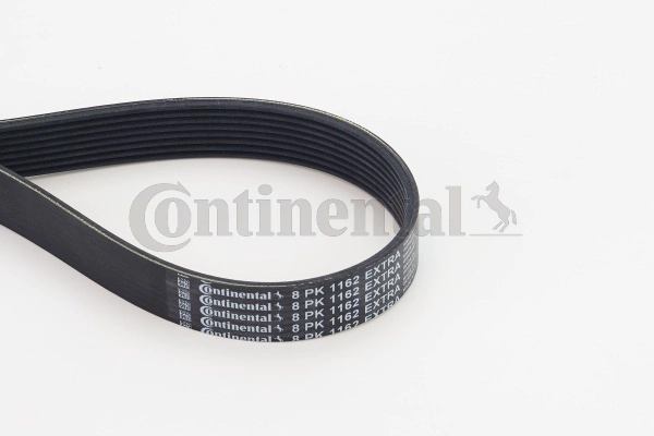 Curea transmisie cu caneluri CONTINENTAL CTAM 8PK1
