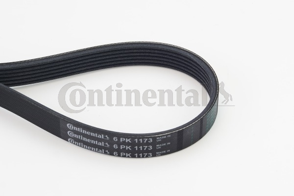 Curea transmisie cu caneluri # Dacia Duster 2017 2018 2019 2020 2021 2022 2023 2024 2025 # 6PK1173 # CONTITECH