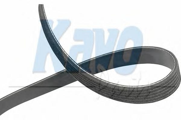 Curea transmisie cu caneluri DAEWOO NUBIRA (KLAJ), DAEWOO NUBIRA Break (KLAJ), DAEWOO NUBIRA limuzina (KLAJ) - KAVO PARTS DMV-1005