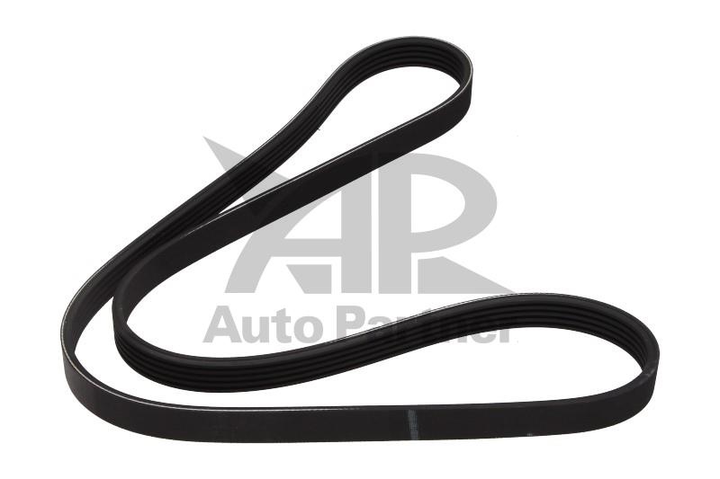 Curea transmisie cu caneluri FIAT ALBEA (178_) - Cod intern: W20269768 - LIVRARE DIN STOC in 24 ore!!!