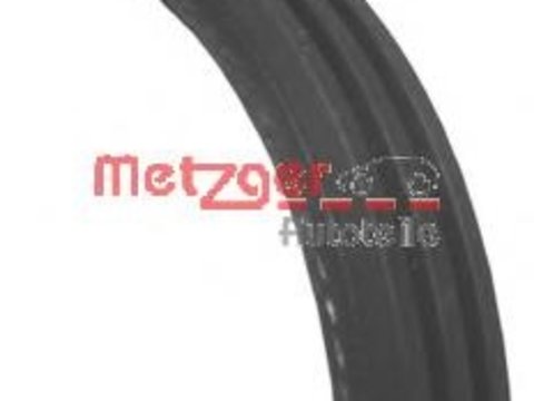 Curea transmisie cu caneluri FORD SIERRA hatchback (GBC, GBG), FORD SIERRA (GBG, GB4), FORD SIERRA combi (BNG) - METZGER 3PK815