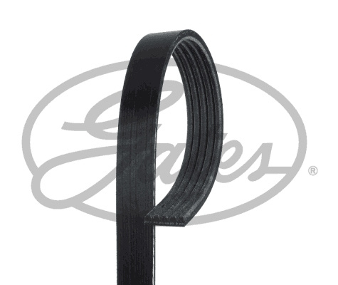 Curea transmisie cu caneluri # Hyundai Accent 2005 2006 2007 2008 2009 2010 # 5PK1810 # GATES