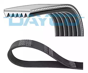 Curea transmisie cu caneluri # Hyundai Accent 2010 2011 2012 2013 2014 # 6PK955 # DAYCO