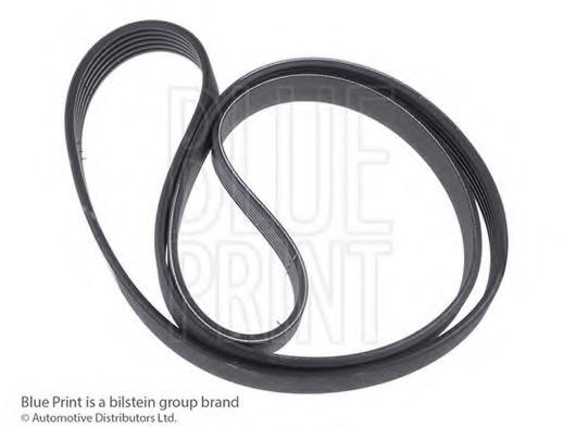 Curea transmisie cu caneluri JEEP COMPASS (MK49), DODGE CALIBER, JEEP PATRIOT (MK74) - BLUE PRINT AD06R2556