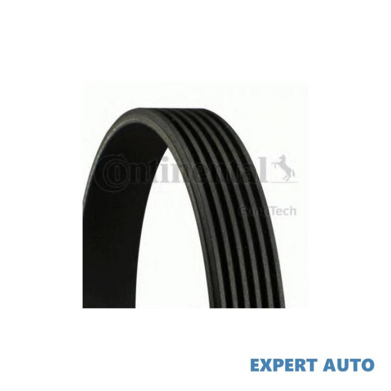 Curea transmisie cu caneluri Mazda 6 combi-coupe (