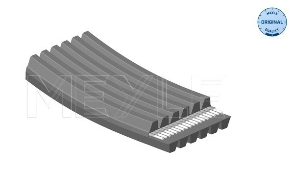 Curea transmisie cu caneluri MEYLE 050 006 1352/D pentru VW GOLF IV Variant (1J5) 1999-2006