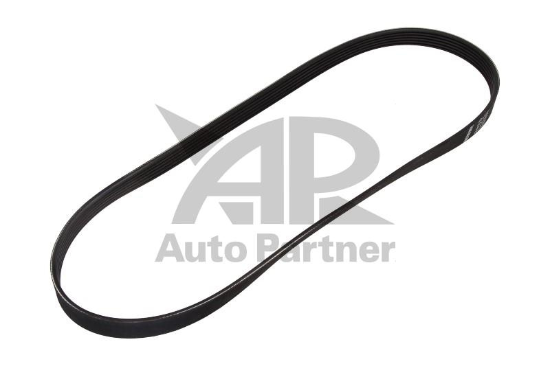Curea transmisie cu caneluri NISSAN ALMERA Mk II (N16) - Cod intern: W20270022 - LIVRARE DIN STOC in 24 ore!!!