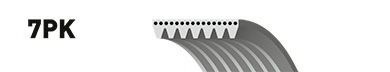 Curea transmisie cu caneluri NISSAN JUKE (F15) (2010 - 2016) GATES 7PK1125
