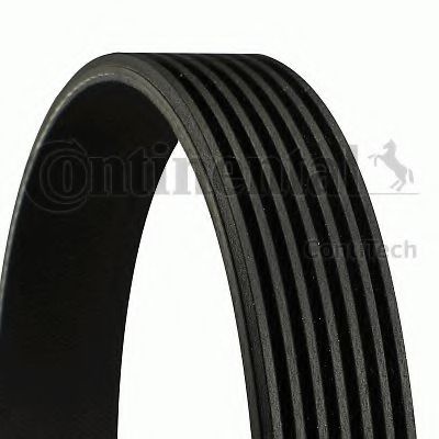 Curea transmisie cu caneluri NISSAN JUKE (F15) (20