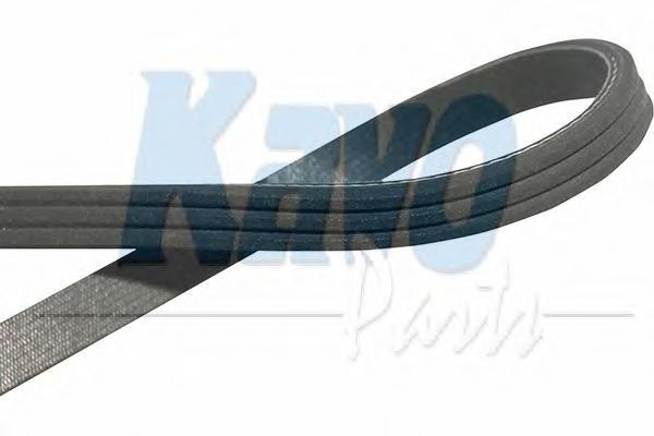 Curea transmisie cu caneluri NISSAN MARCH I (K10), ISUZU FASTER (KB) - KAVO PARTS DMV-6504