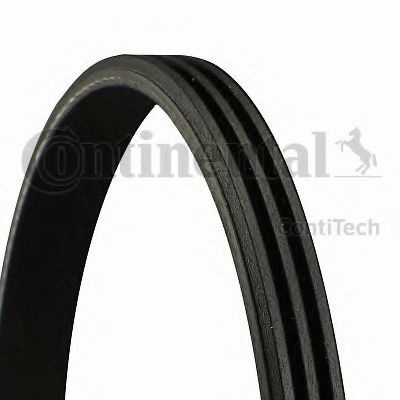 Curea transmisie cu caneluri NISSAN MICRA IV (K13) (2010 - 2016) CONTITECH 3PK800