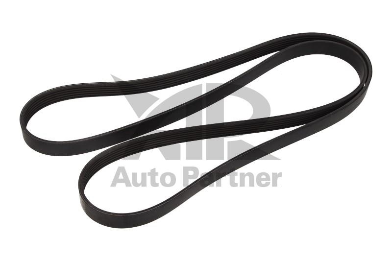 Curea transmisie cu caneluri OPEL SIGNUM - Cod intern: W20269964 - LIVRARE DIN STOC in 24 ore!!!