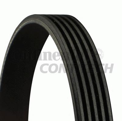 Curea transmisie cu caneluri PEUGEOT 106 (1A, 1C), ROVER 100 / METRO (XP), FIAT CROMA (154) - CONTITECH 5PK962