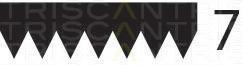 Curea transmisie cu caneluri RENAULT MASTER II Van (FD), RENAULT MASTER II platou / sasiu (ED/HD/UD), OPEL MOVANO caroserie (F9) - TRISCAN 8640 701920