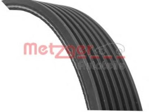 Curea transmisie cu caneluri RENAULT MEGANE II (BM0/1_, CM0/1_), RENAULT Scenic II (JM0/1_), RENAULT GRAND Scenic II (JM0/1_) - METZGER 7PK1705