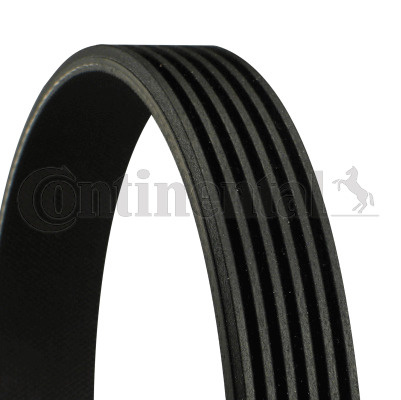 Curea transmisie cu caneluri # Renault ScEnic 2016 2017 2018 2019 2020 2021 2022 2023 2024 2025 # 6PK1125 # CONTITECH