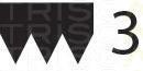 Curea transmisie cu caneluri ROVER 200 (XH), ROVER 200 hatchback (XW), ROVER CABRIOLET (XW) - TRISCAN 8640 300753