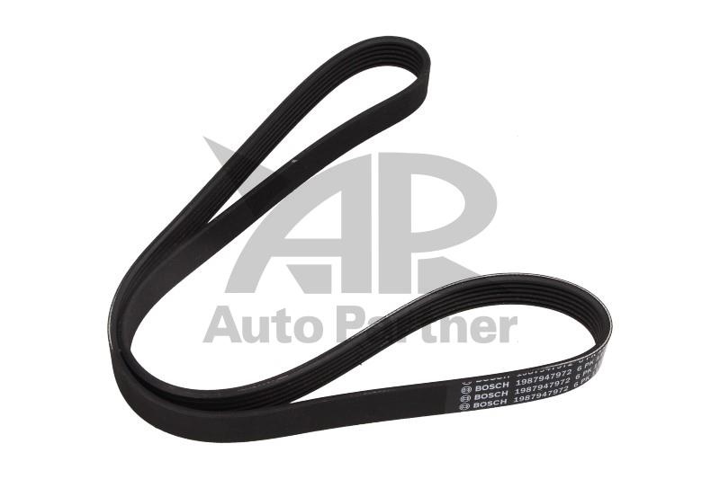 Curea transmisie cu caneluri SEAT IBIZA Mk IV (6L1) - Cod intern: W20269969 - LIVRARE DIN STOC in 24 ore!!!