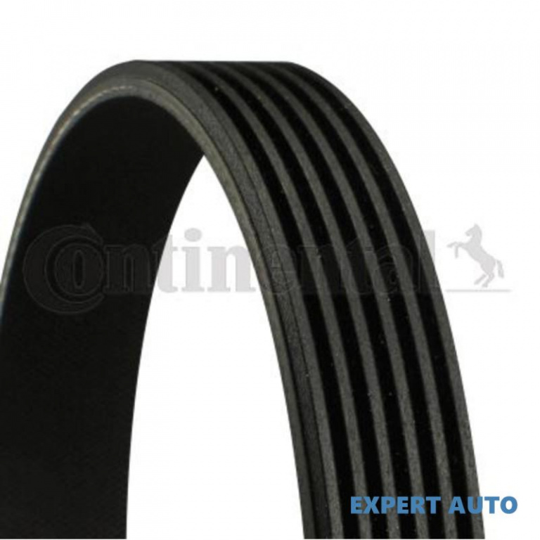 Curea transmisie cu caneluri Volkswagen VW TRANSPORTER / CARAVELLE Mk V bus (7HB, 7HJ, 7EB, 7EJ, 7EF) 2003-2016 #8 022145933H