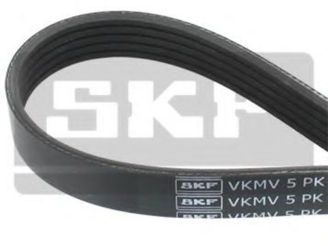 Curea transmisie cu caneluri VW TOURAN (1T1, 1T2), VW RABBIT V (1K1), VW GOLF PLUS (5M1, 521) - SKF VKMV 5PK491